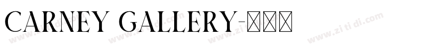 CARNEY GALLERY字体转换